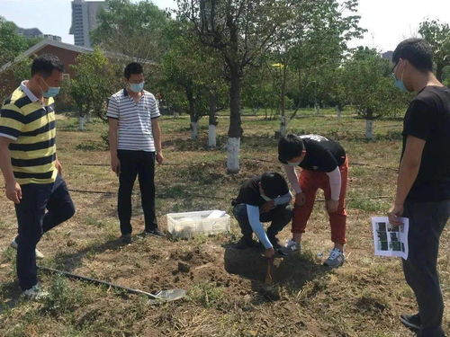 盘点2020 丰台区受污染耕地 污染地块安全利用率均动态达到90 以上