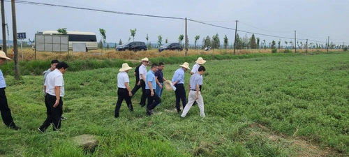 连续两天,为啥省里专家都爱往这里跑