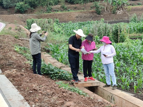 强化受污染耕地安全利用措施落地 保障农产品质量安全